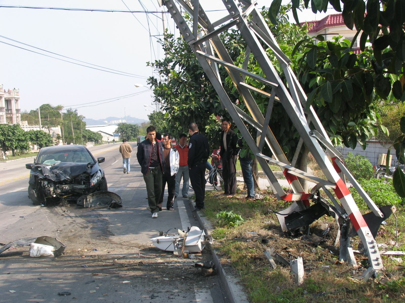 timg (1).jpg timg (1).jpg